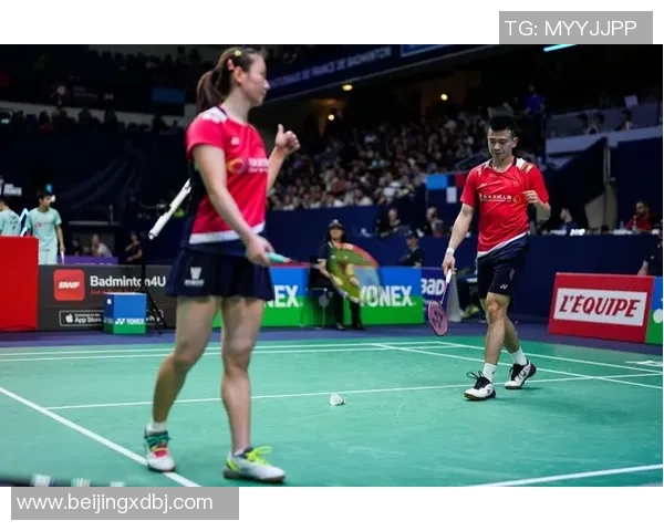 WTT法国冠军赛今天开幕！国乒3人上台作战，陈垣宇应战韩国一哥